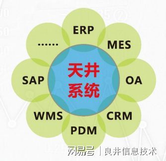 企业信息化的四个误区 信息技术咨询视角